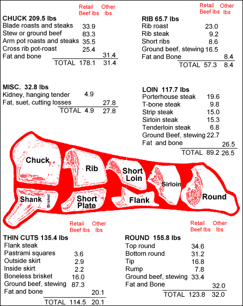 Cuts of Beef